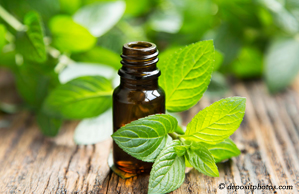 Montreal peppermint pain relieving benefits